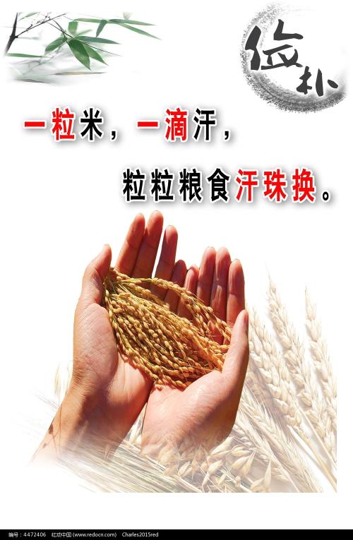 別府大学短期大学課 Science and engineering degree certificate